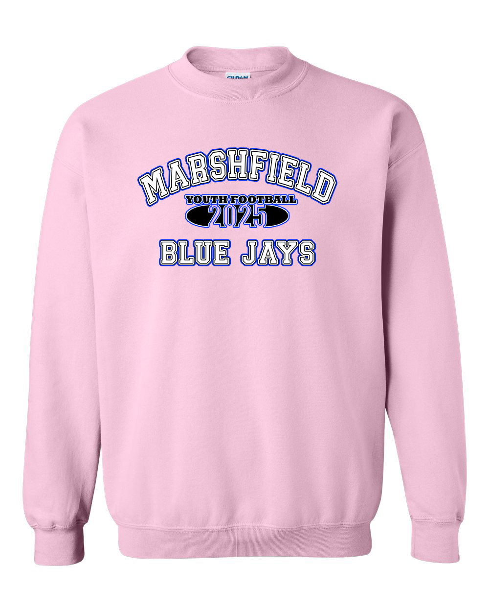 Blue Jays 2025 sweatshirt